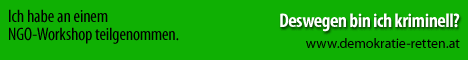 Ich habe an einem NGO-Workshop teilgenommen.