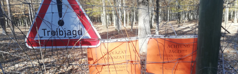 Treibjagd – Betreten verboten!