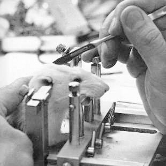 Foto: Wikipedia Ratte